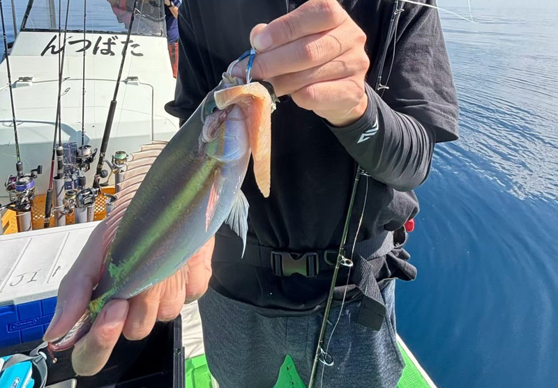 五目Fishingツアー