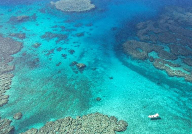 五目Fishingツアー