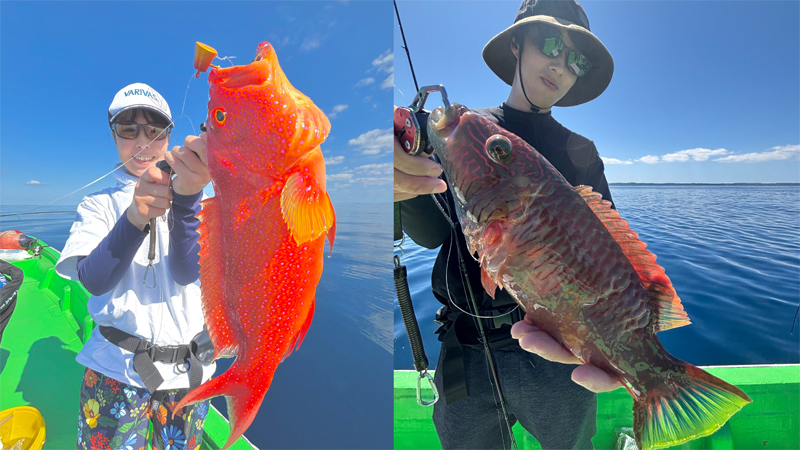 大型魚を狙う釣り船ツアー
