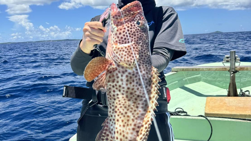 大型魚を狙う釣り船ツアー