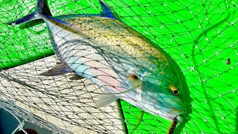 大型魚を狙う釣り船ツアー