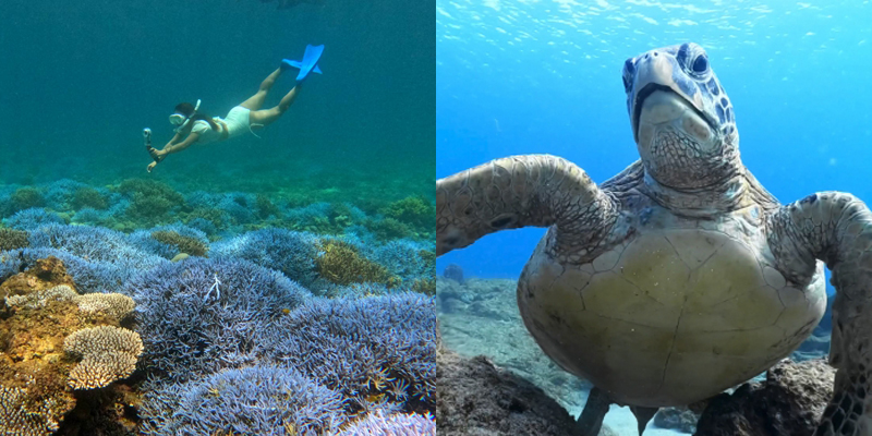 宮古島でのボートシュノーケリング