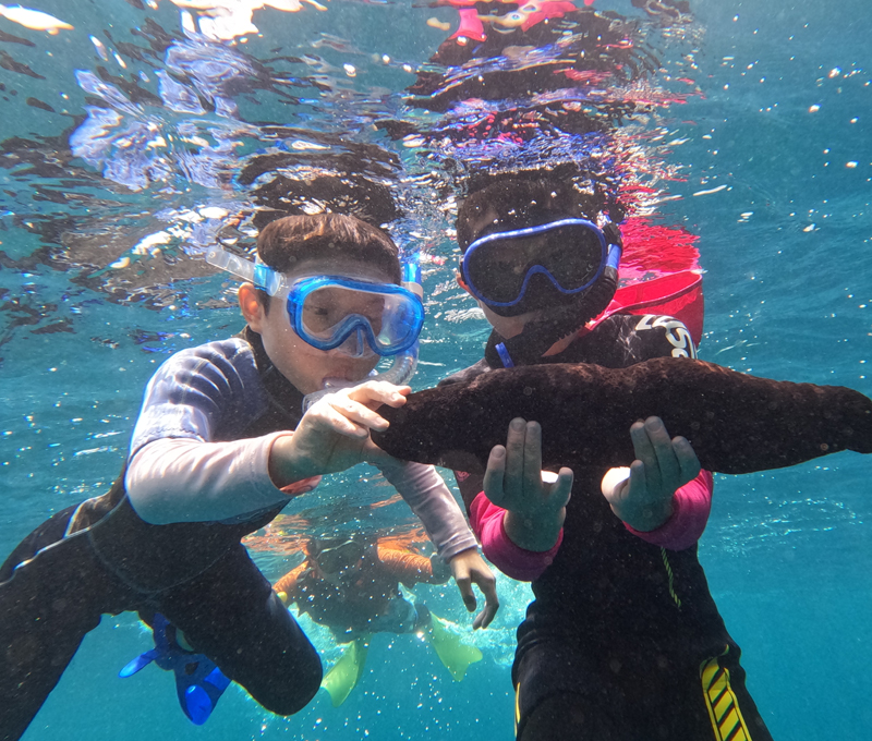 冒険ボートシュノーケリング