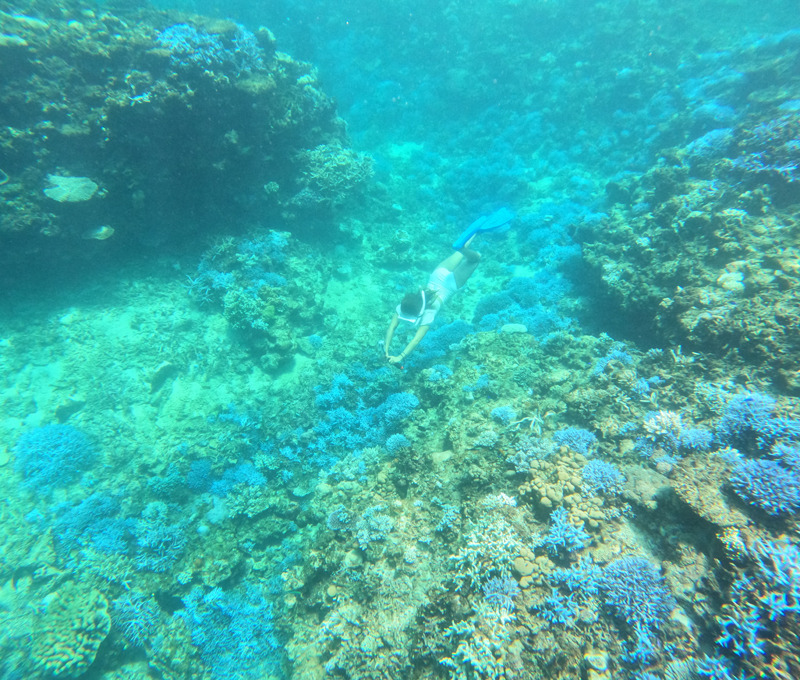 冒険ボートシュノーケリング