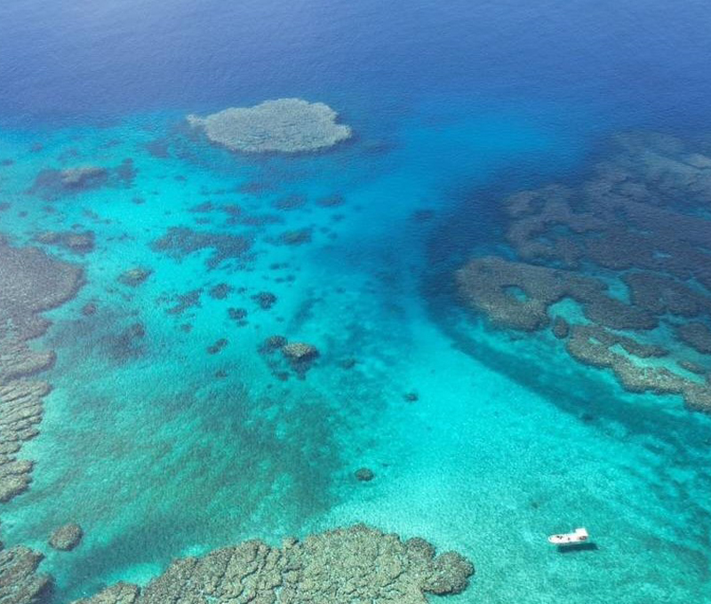 冒険ボートシュノーケリング