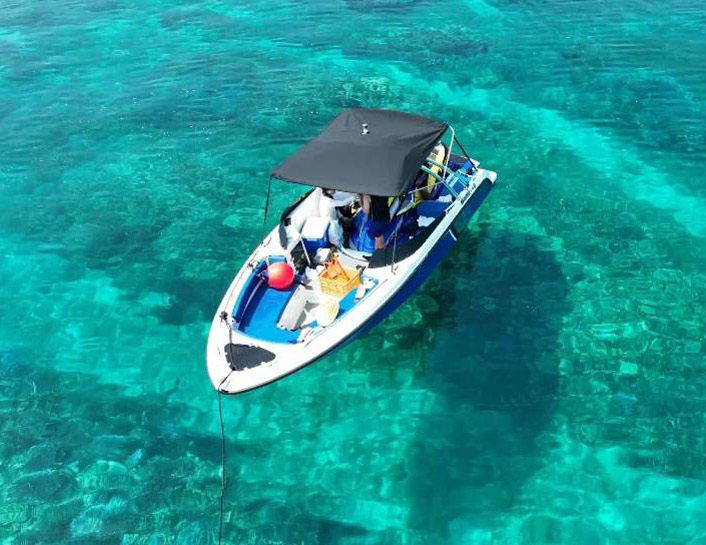 WAVE BOAT チャーター